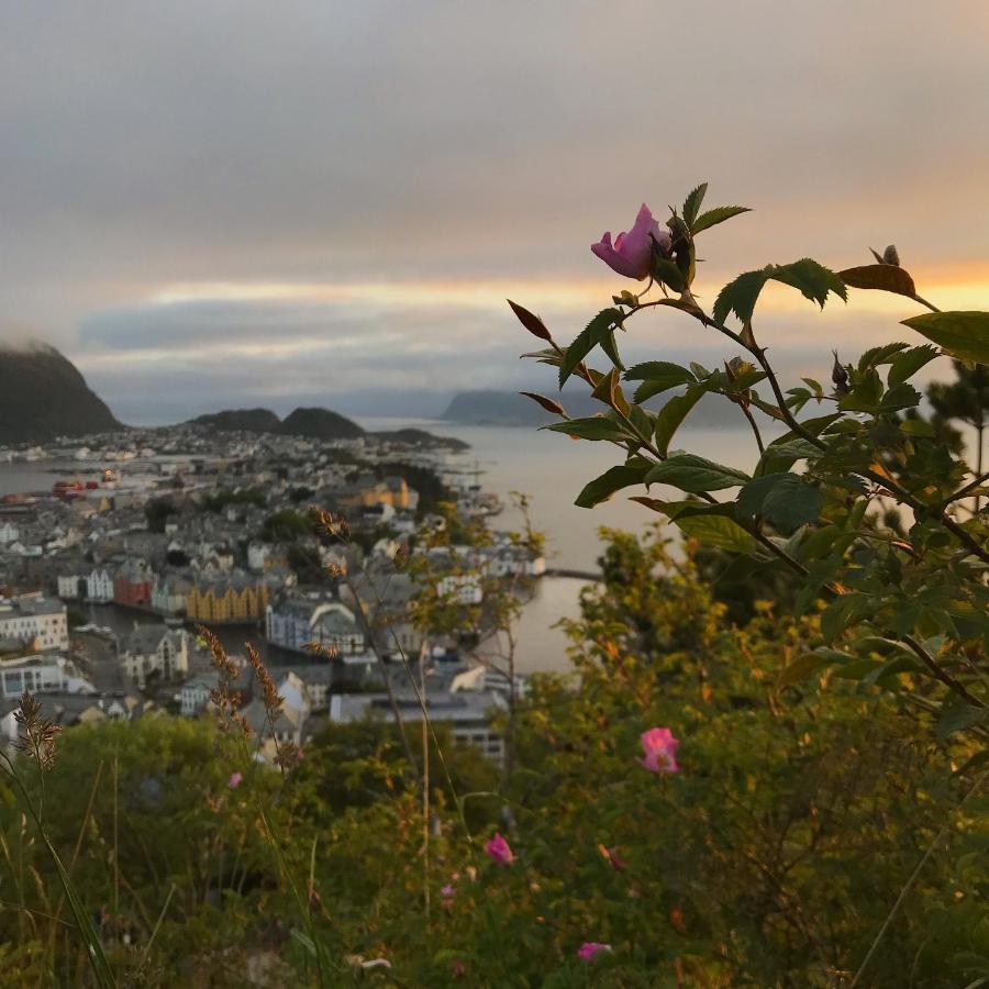 City View Studio Apartment Alesund Bagian luar foto